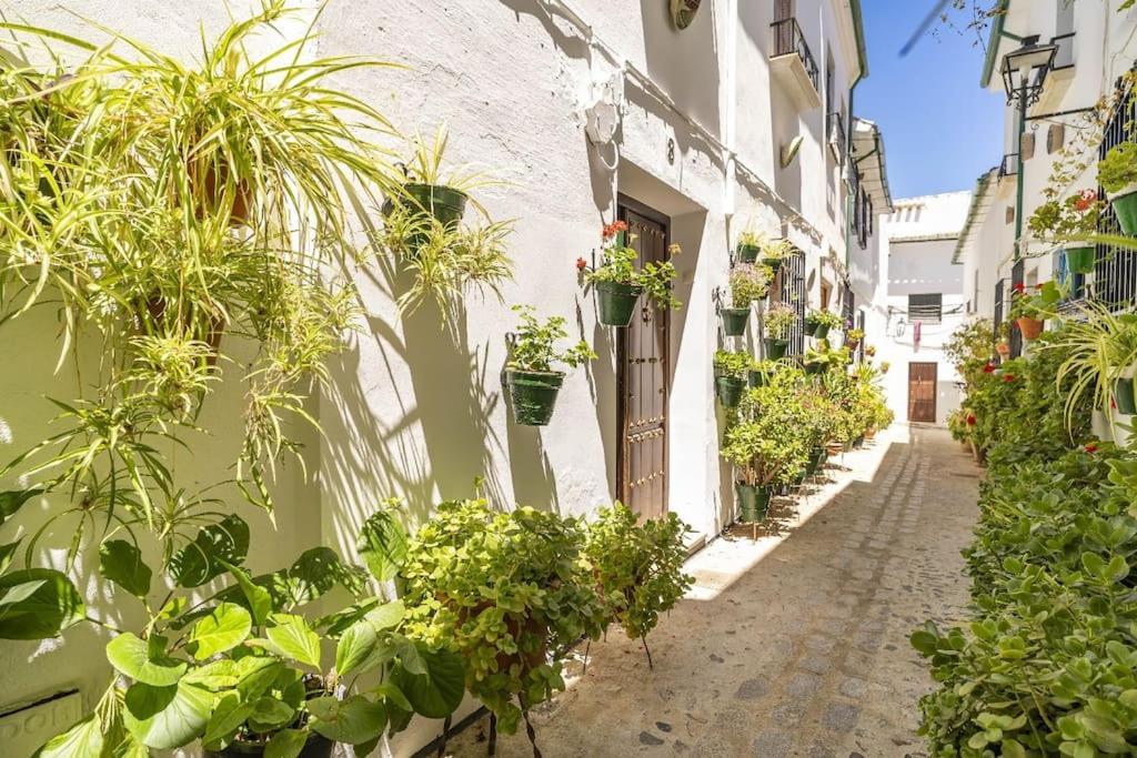 Casa Con Patio Y Terraza En Barrio Historico De La Villa, Junto Al Adarve Priego de Córdoba Esterno foto